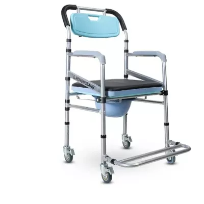 Chaise garde-robe avec WC intégré - 1